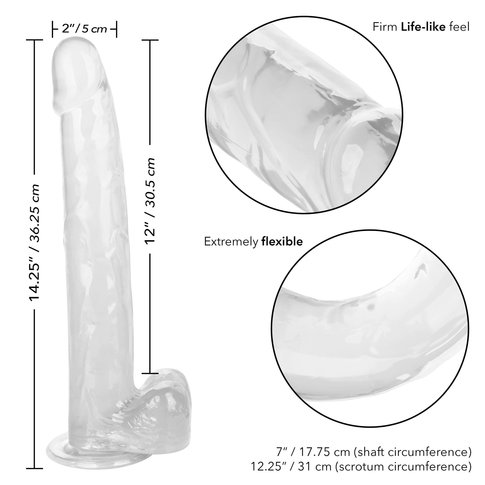 Size Queen 12 inch/30.5 Cm - Clear | SE0263002